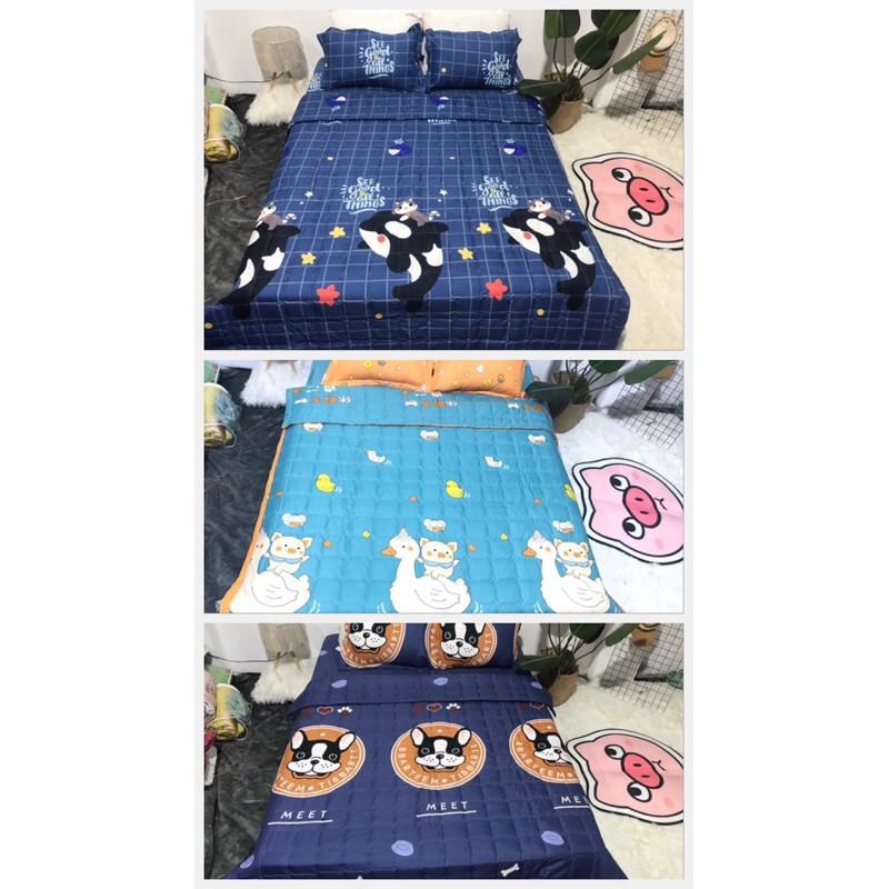 Bộ ga gối chăn trần hè cotton poly 1m6x2m