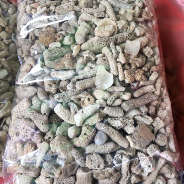 Combo 1 kg nham thạch + 1 kg san hô - Vật liệu lọc hồ cá