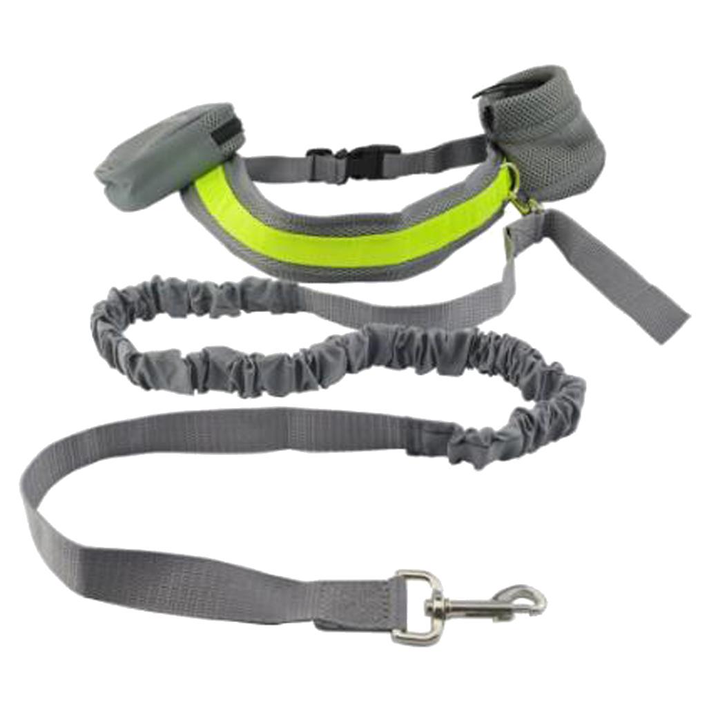 Dog Leash Lead w/ Waist Pouch Handsfree Reflective Buckle Belt Harness
