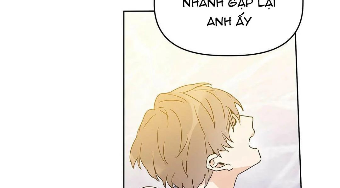 guide cấp b chapter 11 44