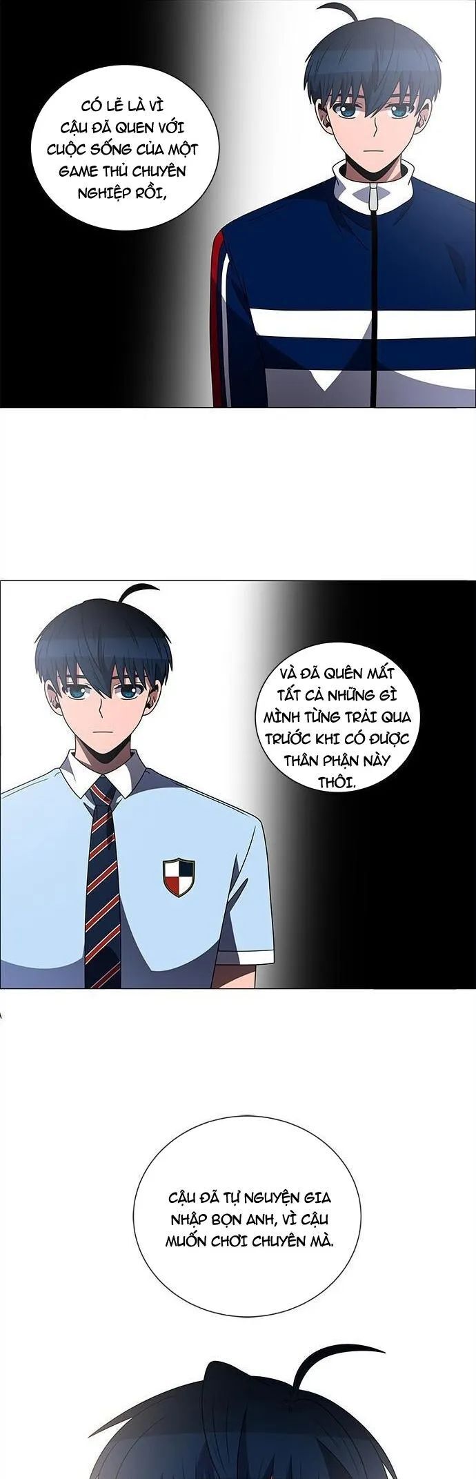 no scope chapter 166 19