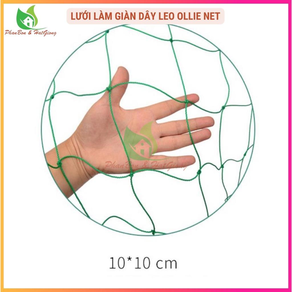 Lưới Làm Giàn Dây Leo Lưới Làm Giàn Dưa Leo, Hoa, Đậu Leo, Giàn Cây Bền Chắc - Shop Phân Bón và Hạt Giống