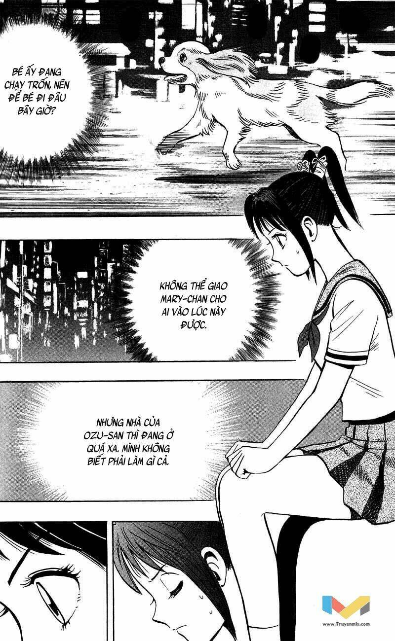 animal sense chapter 6 35