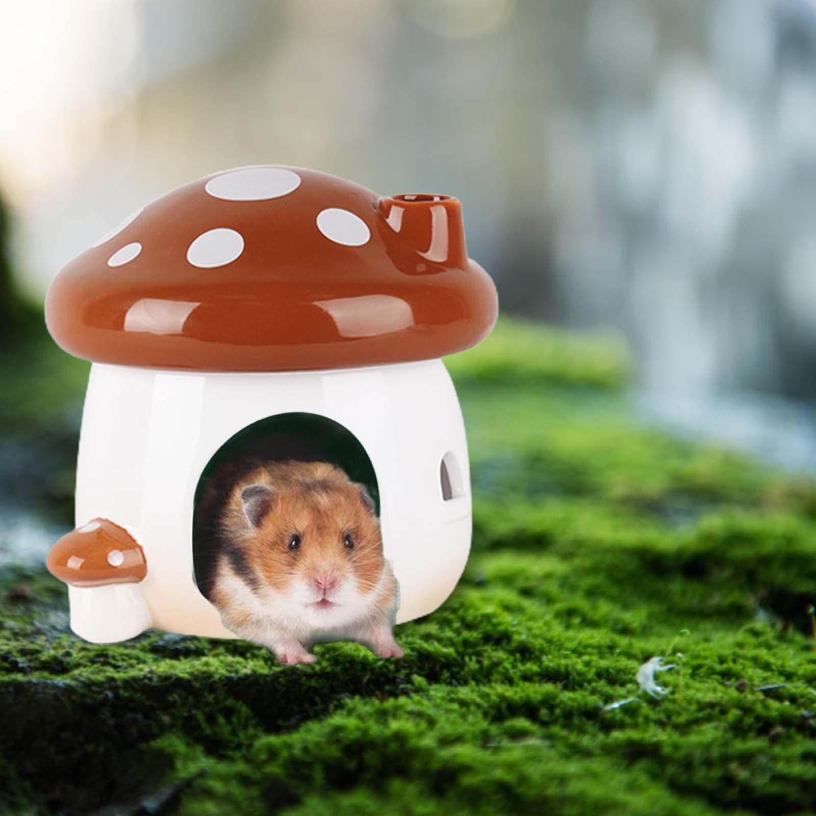Hamster Houses Hamster Hideouts Ceramic Indoor Outdoor Small Animal Hamster Habitat Hideout Pet Sleeping Nest for Mice Lemmings Critter Rats
