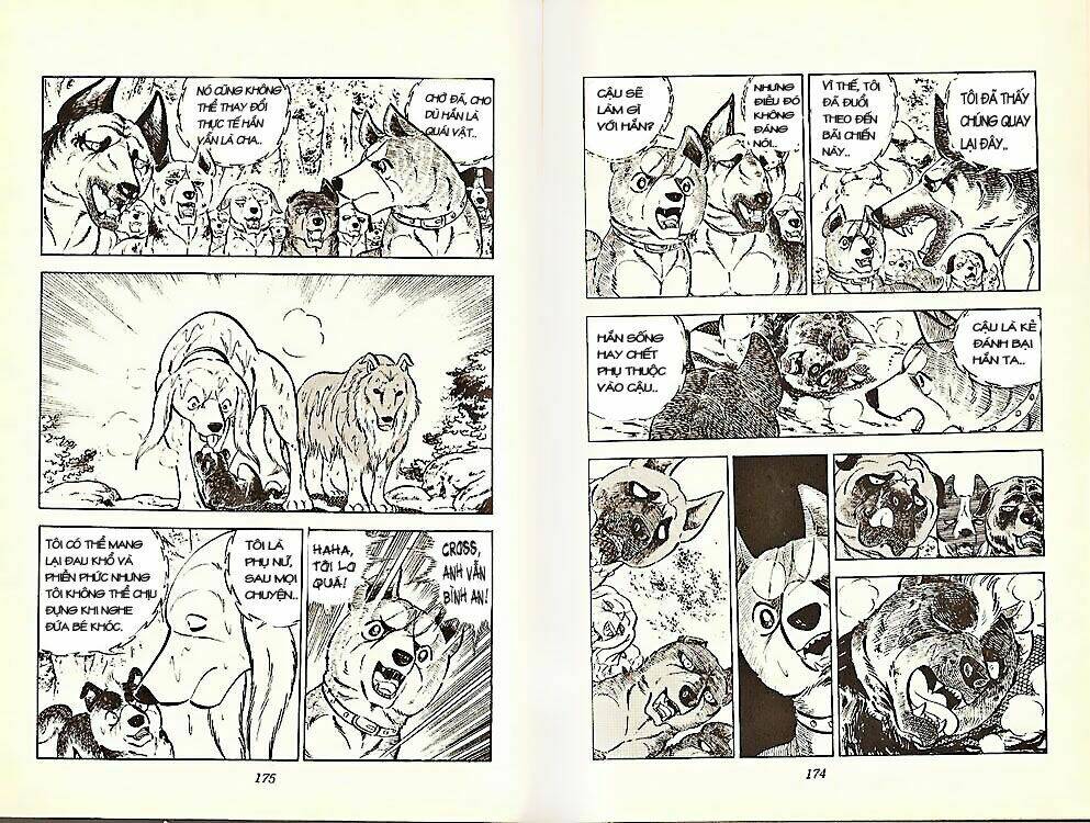 chú chó có nghĩa - ginga nagareboshi gin chapter 21 17