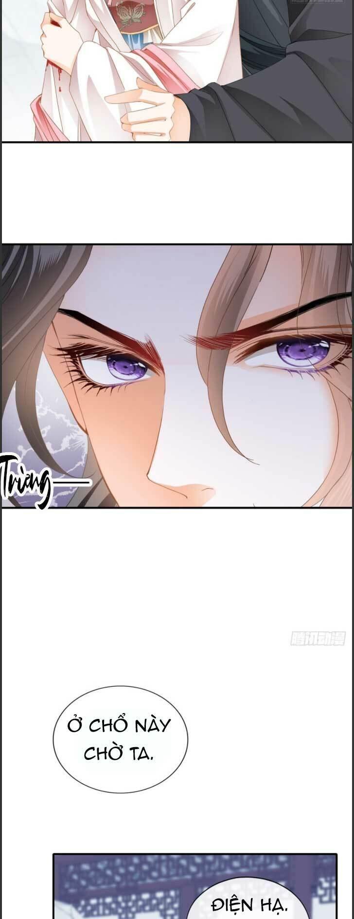 bổn vương muốn nàng chapter 104 11