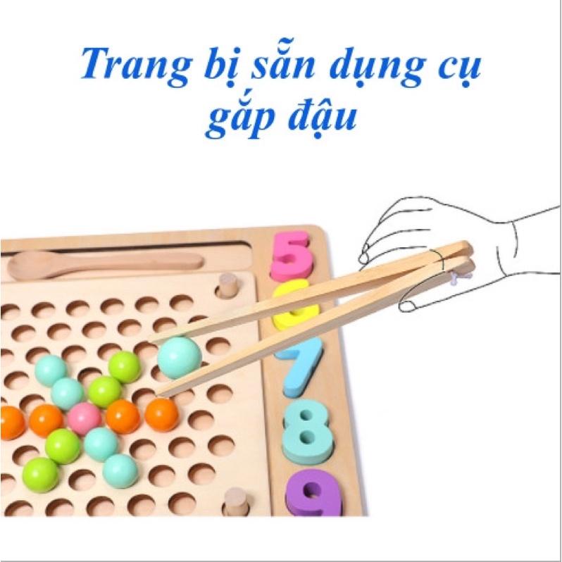 Giáo Cụ Montessori - Đồ Chơi Gỗ Kết Hợp Câu Cá, Gắp Hạt, Xếp Hình Khối, Lắp Số Kèm Xâu Dây Cho Bé