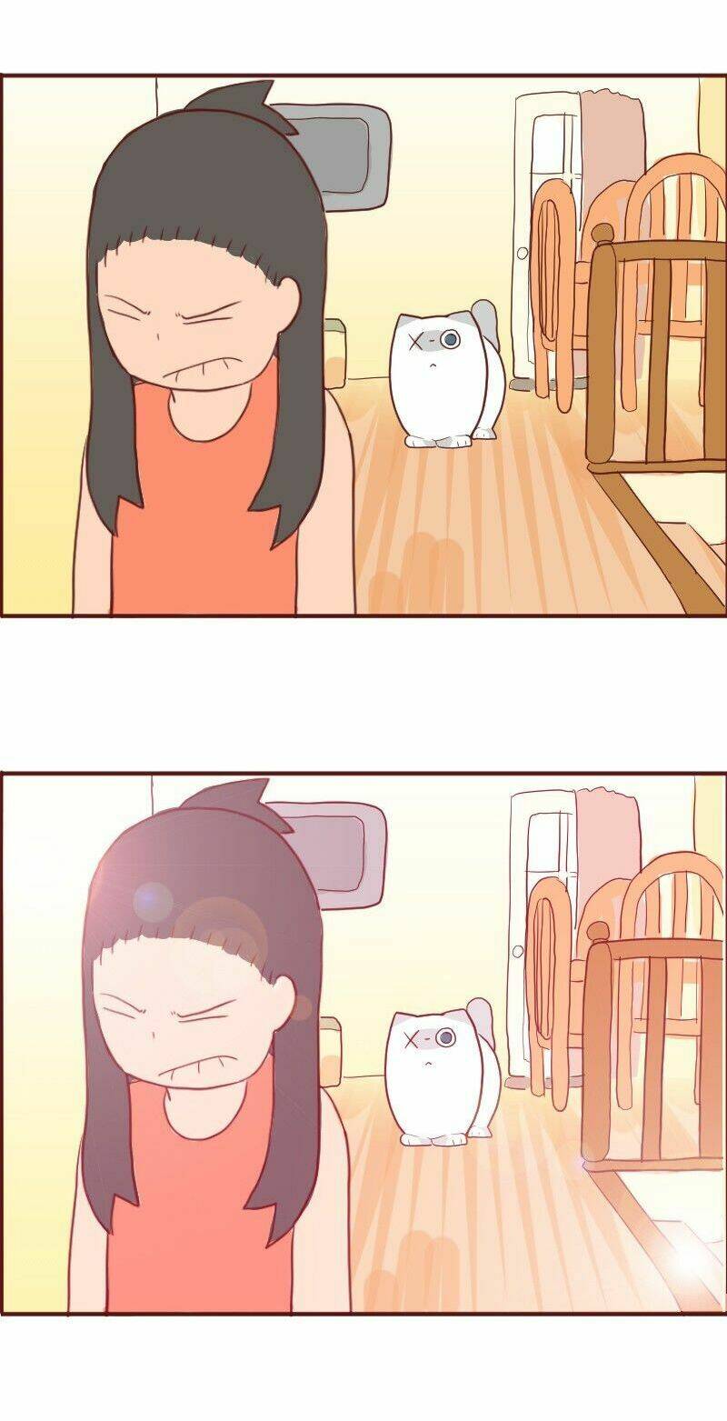 saphie: chú mèo một mắt chapter 6 14