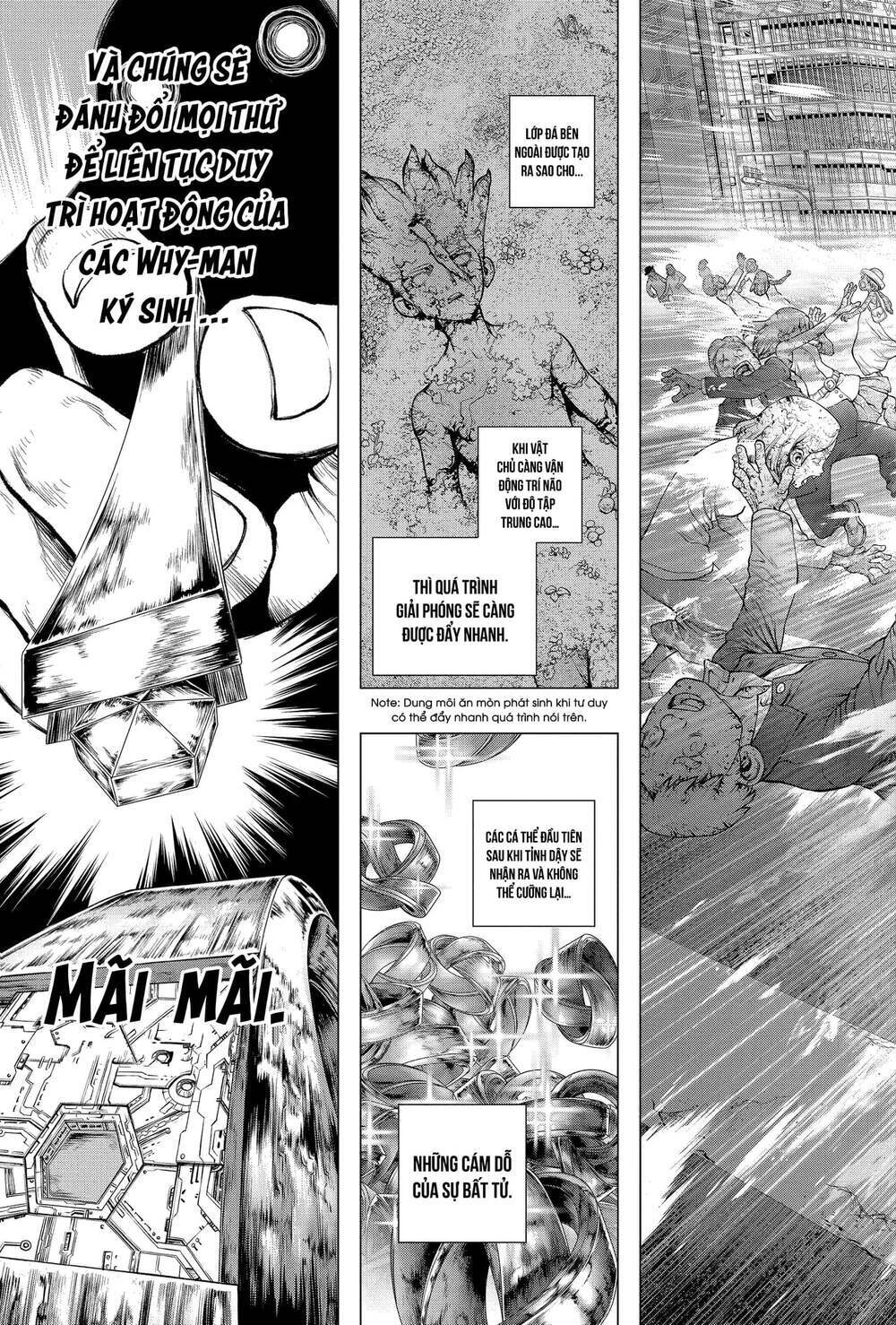 dr.stone - hồi sinh thế giới chapter 229 9