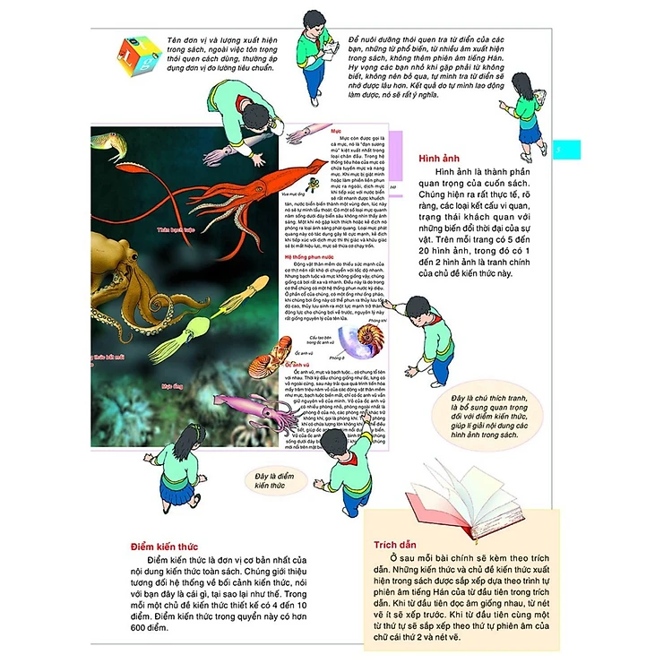 Sách Bách Khoa Tri Thức Bằng Hình Cho Trẻ Em