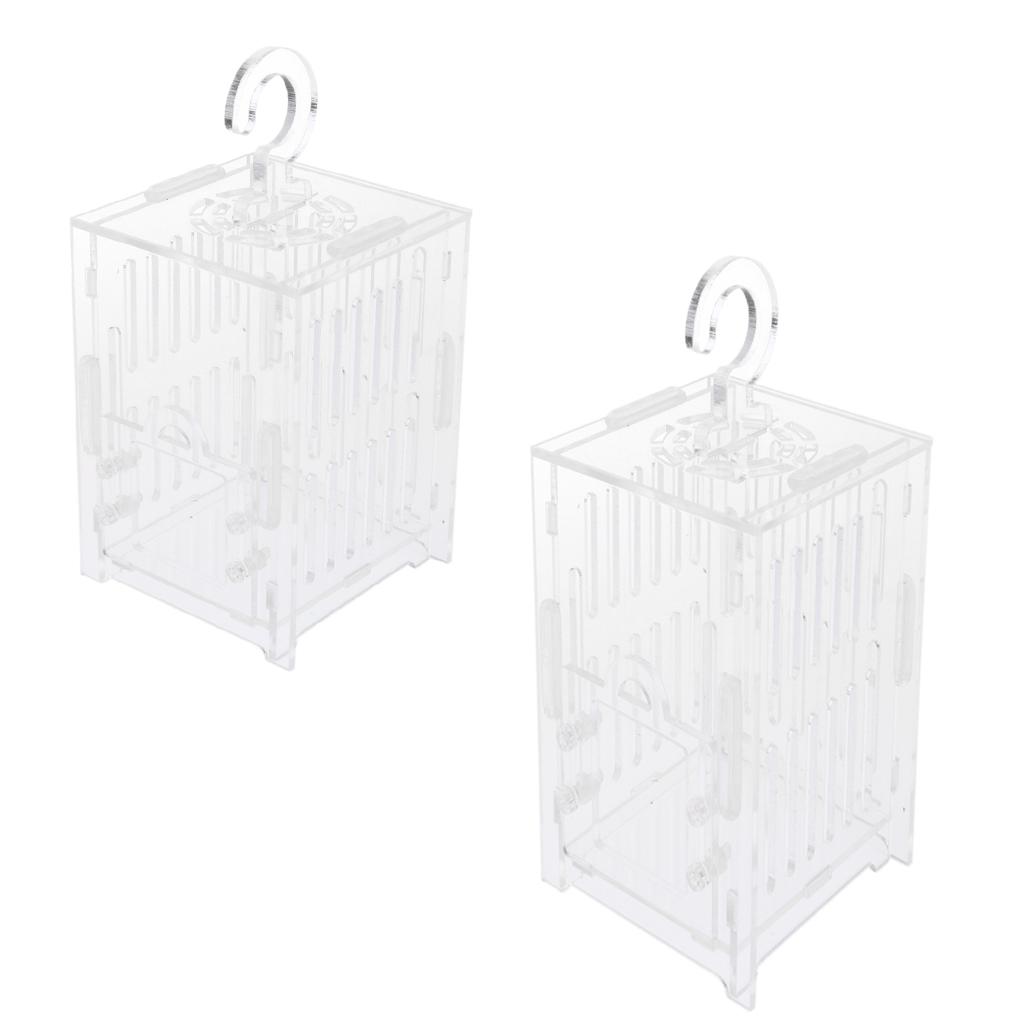 Durable Acrylic Small Insect Cage Grasshopper Feeding Cricket Cage Indoor Toy