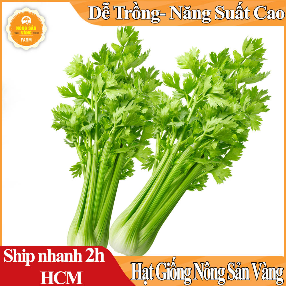 Hạt giống Rau Cần Tây Ưa Thích Nhiệt Độ Và Độ Ẩm Mát Mẻ Năng Suất Cao - Nông Sản Vàng
