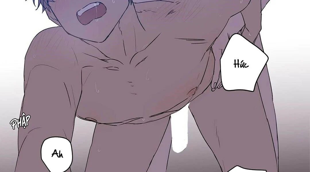 guide cấp b chapter 22 8