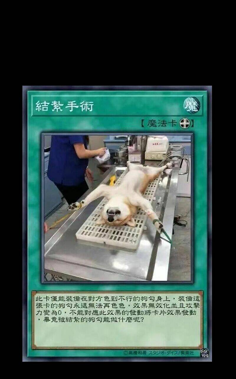 vú em vô địch chapter 30 70