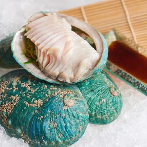HCM - Bào ngư cao cấp Úc- Jade Tiger Abalone 500g