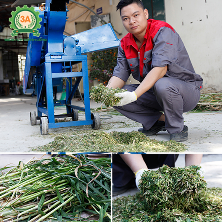 Máy băm cỏ cho bò, thân cây ngô 3A4kW - Hàng Chính Hãng