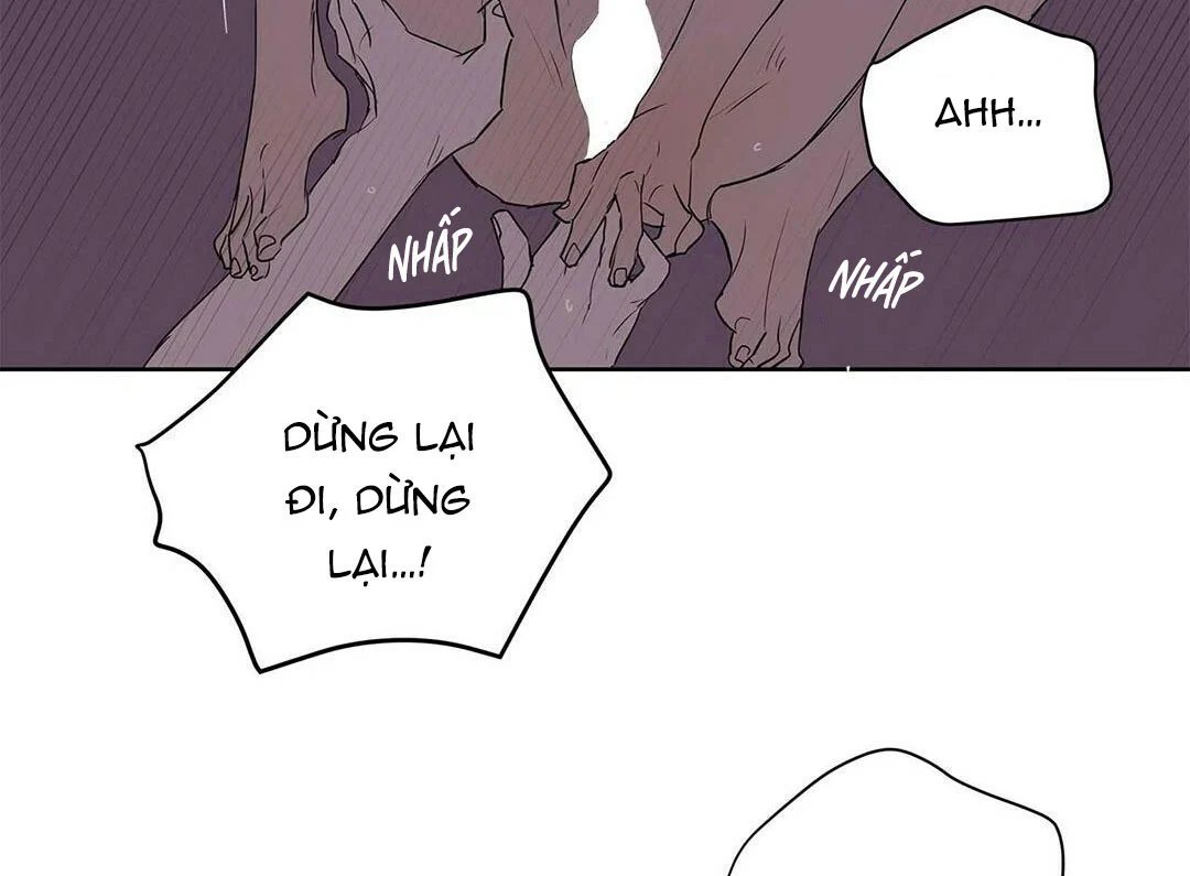 guide cấp b chapter 21 63