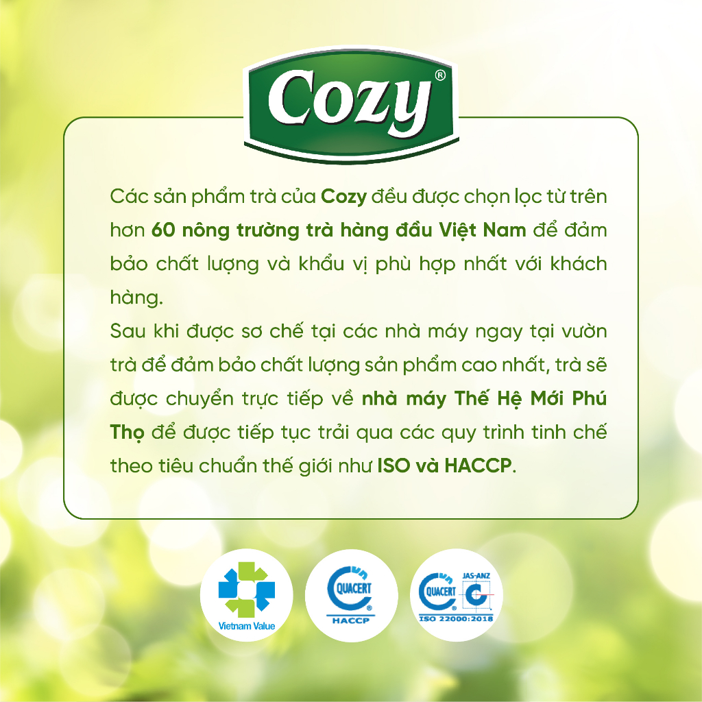 Trà Bạc Hà - Hộp 50g - Cozy