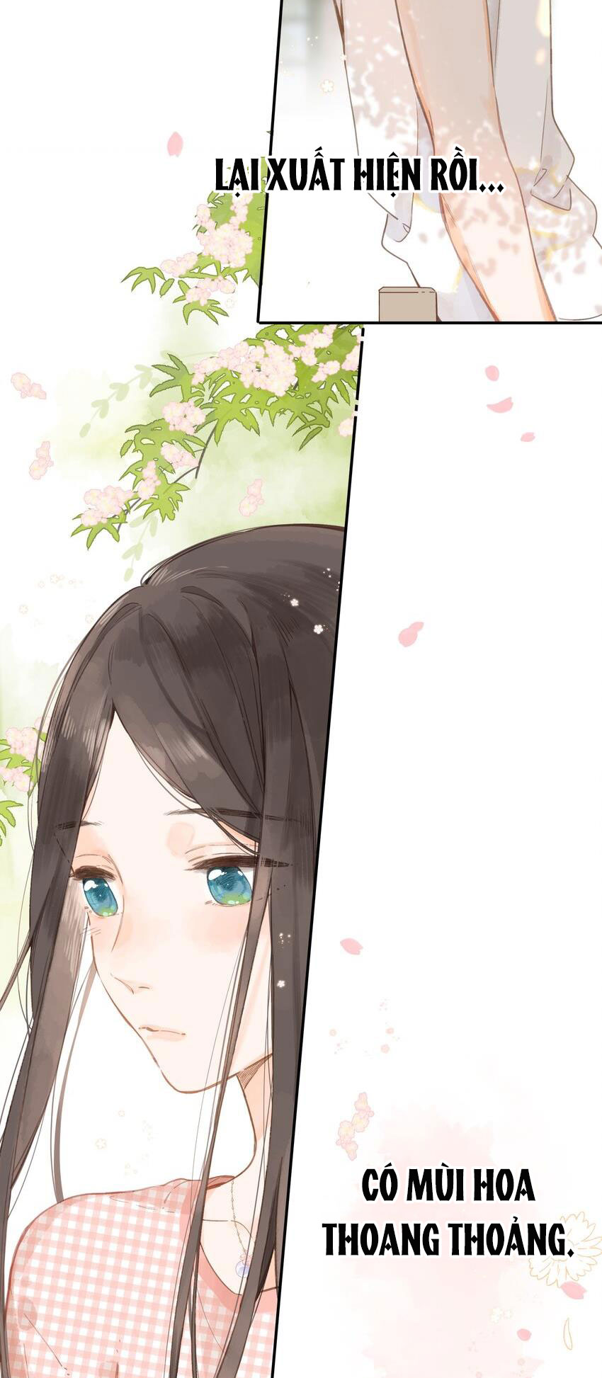 tiệm hoa hướng dương ở góc phố chapter 6 41