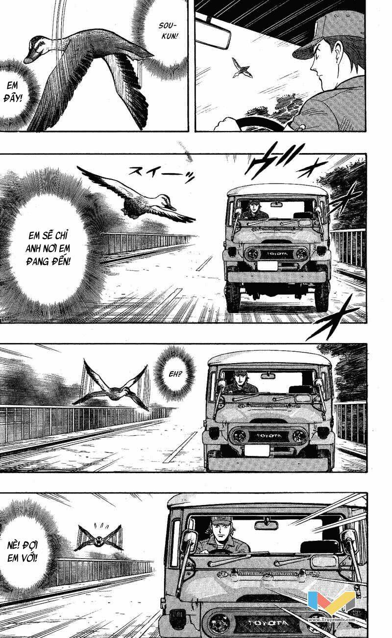 animal sense chapter 9 27