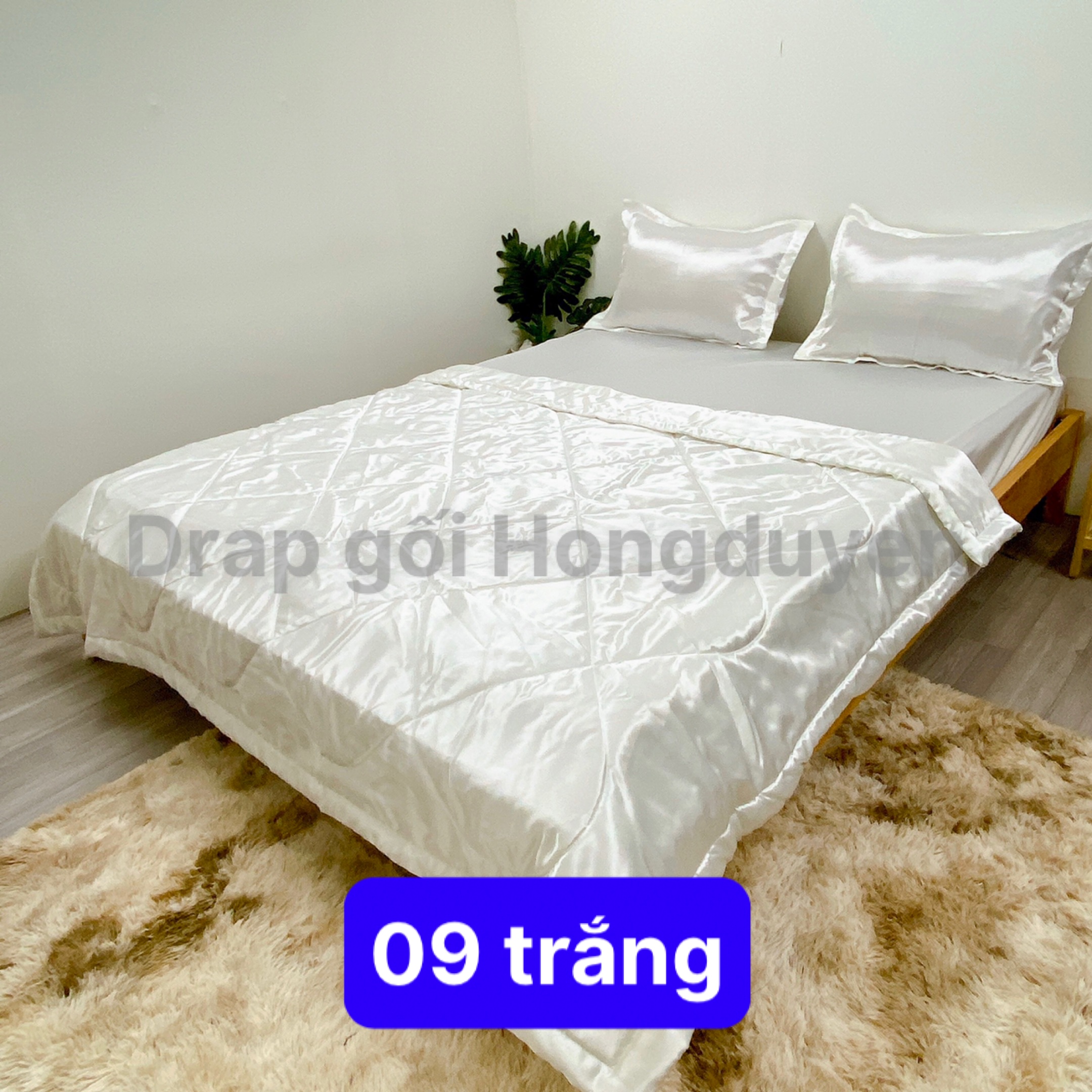 Bộ vỏ gối-ga phi bóng KO MỀN/CHĂN (chân nệm dưới 15cm) 1m6/1m8 trơn trắng 09. Bộ drap phi bóng 1 màu. Bộ grap phi bóng. Bộ drap phi lụa. Bộ grap phi lụa. Bộ ga phi lụa. Ga giường - drap giường - grap giường - ra giường.