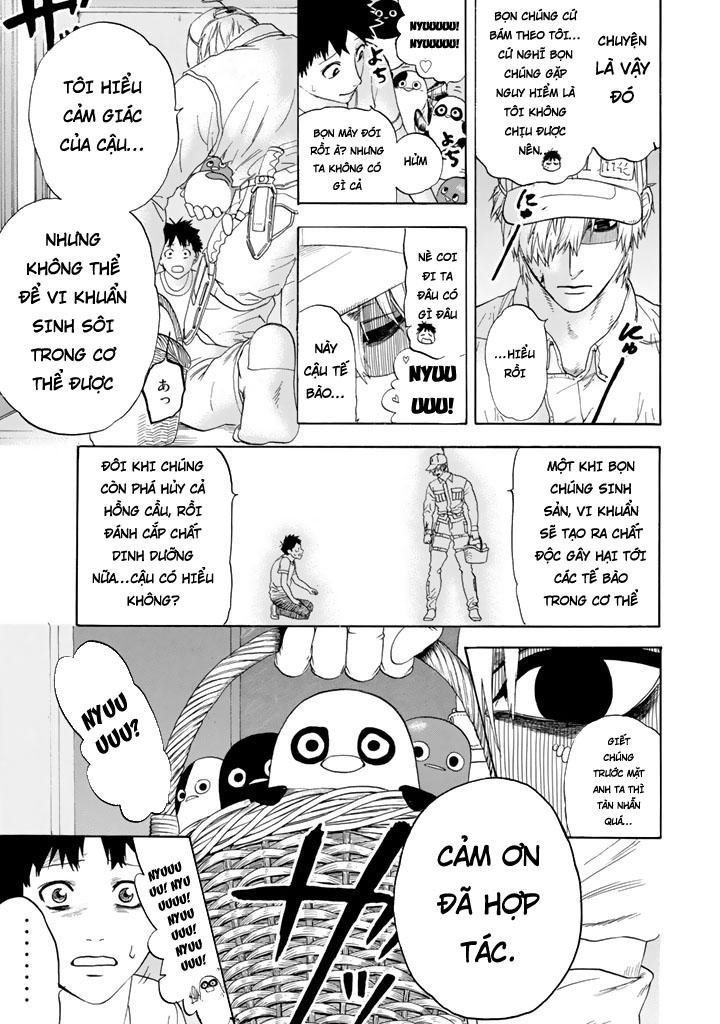 hataraku saibou! chapter 20 17