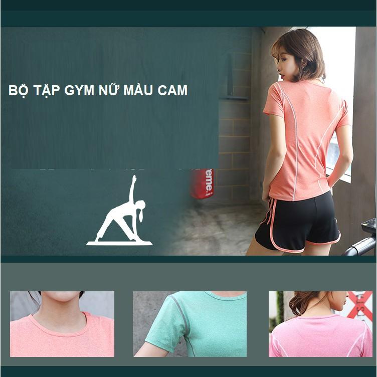 Set bộ đồ tập gym, yoga, aerobic nữ Linda018 áo thun quần đùi 2 lớp