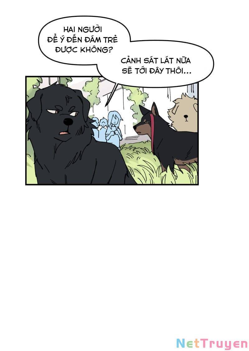 lumine - cội nguồn ánh sáng chapter 163 19