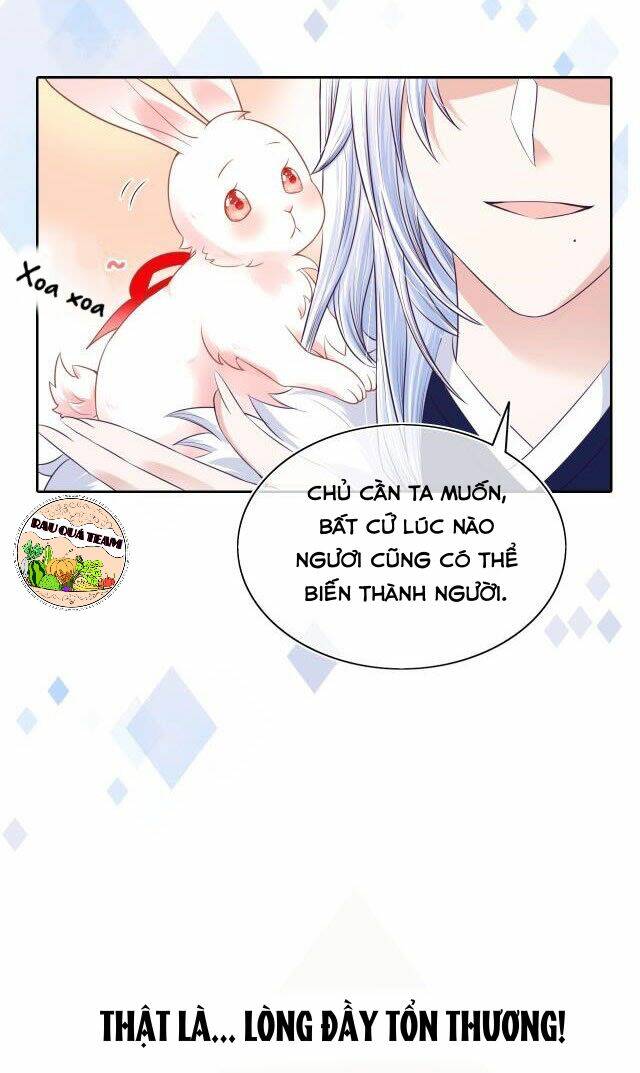 hắc hóa nam chính trực tuyến nuôi thỏ chapter 1 15