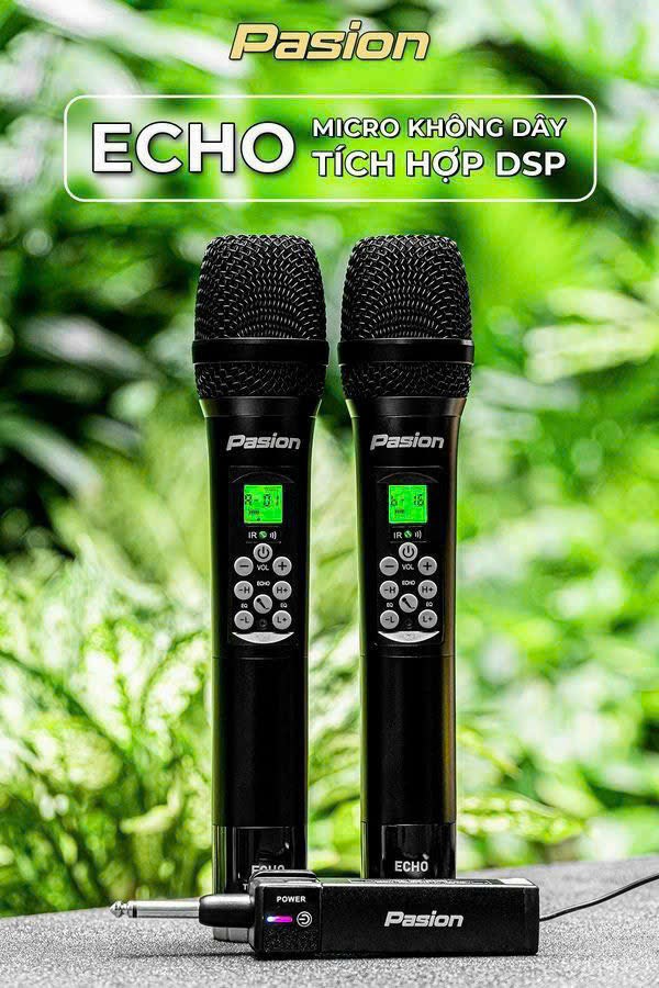 Micro không dây tích hợp DSP - PASION ECHO / Hàng chính hãng.