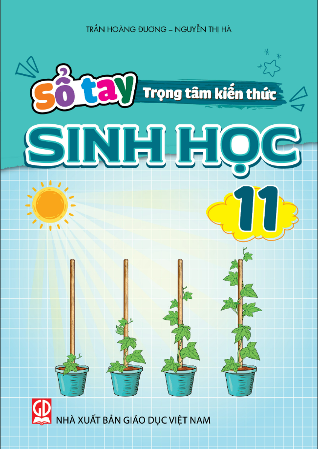 Sách - Sổ Tay Trọng Tâm Kiến Thức Lớp 11 - Các Môn (NXB Giáo Dục)