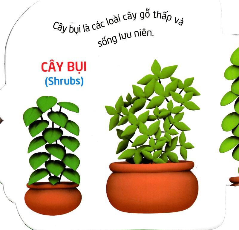 Truyện Cổ Tích Việt Nam Dành Cho Thiếu Nhi - Tấm Cám (Tái Bản 2023)