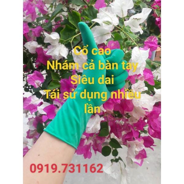 Bao Tay Xanh Cổ Cao, Dùng Được Nhiều Lần. Găng Tay Chế Biến Thủy Sản