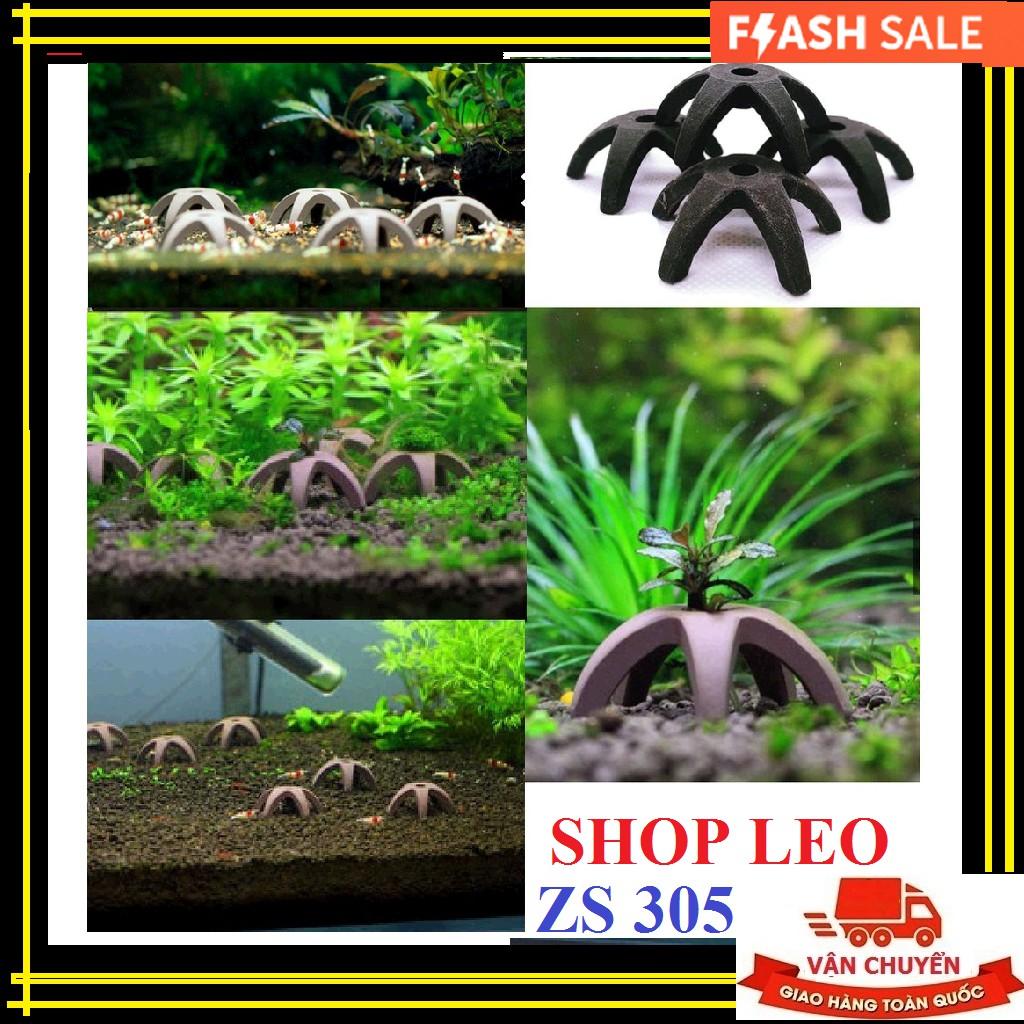 HANG TÉP - TRANG TRÍ HỒ TÉP- HỒ THỦY SINH - TRANG TRÍ BỂ CÁ CẢNH - HANG PLECO
