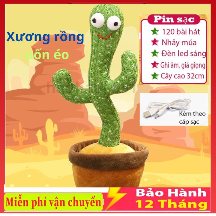 Cây xương Rồng Nhảy Múa Xương Rồng Biết Nhại Siêu Hót