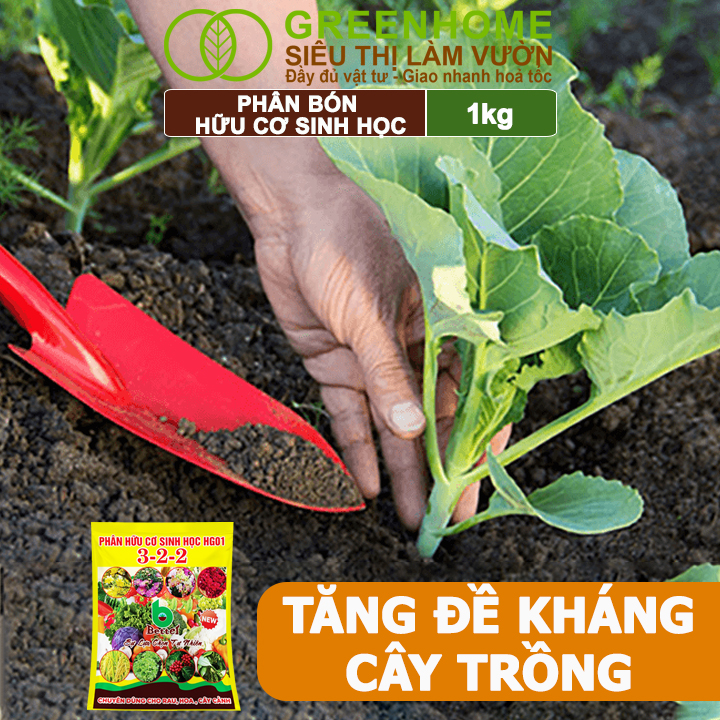 Phân Bón Hữu Cơ Greenhome, Better, Bao 1kg, Sinh Học Giúp Cây Khoẻ, Ổn Định, Sai Hoa, Đậu Trái