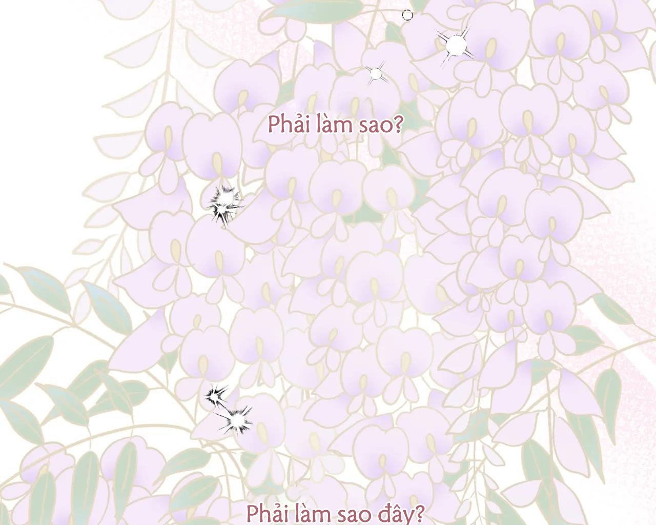 ám ảnh pheromone chapter 65 77