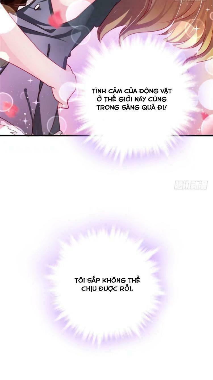 [16+] thảnh thơi thú thế chủng chủng điền, sinh sinh tể chapter 6 28