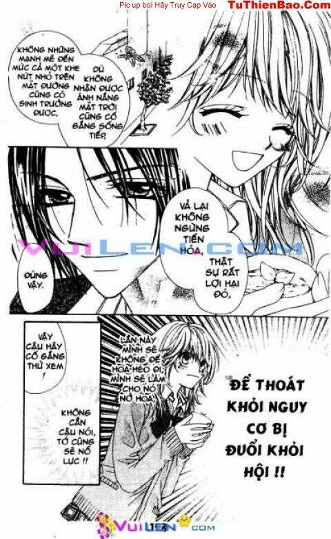 thiên thần giả tạo chapter 4 158