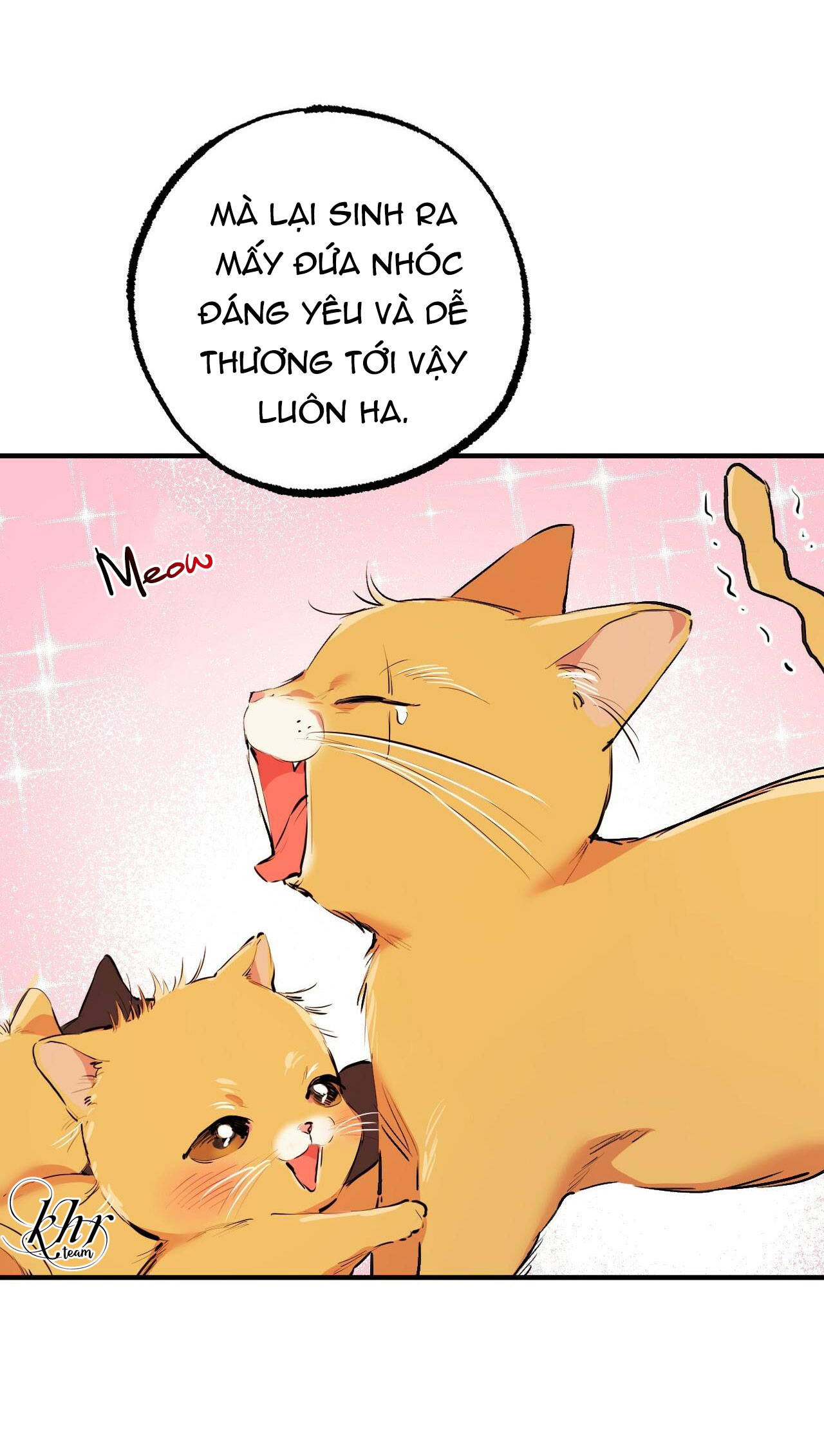 những chú thỏ của hapypy chapter 32 12