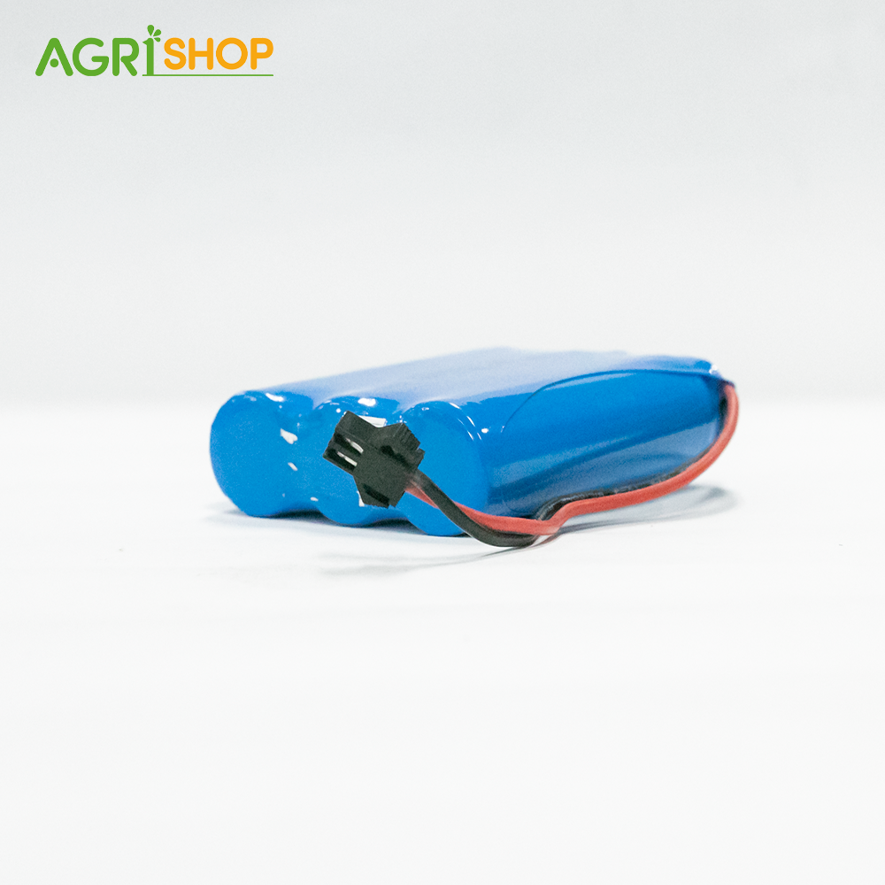 Pin Lithium BMC 2000mAH 12V- 2AH