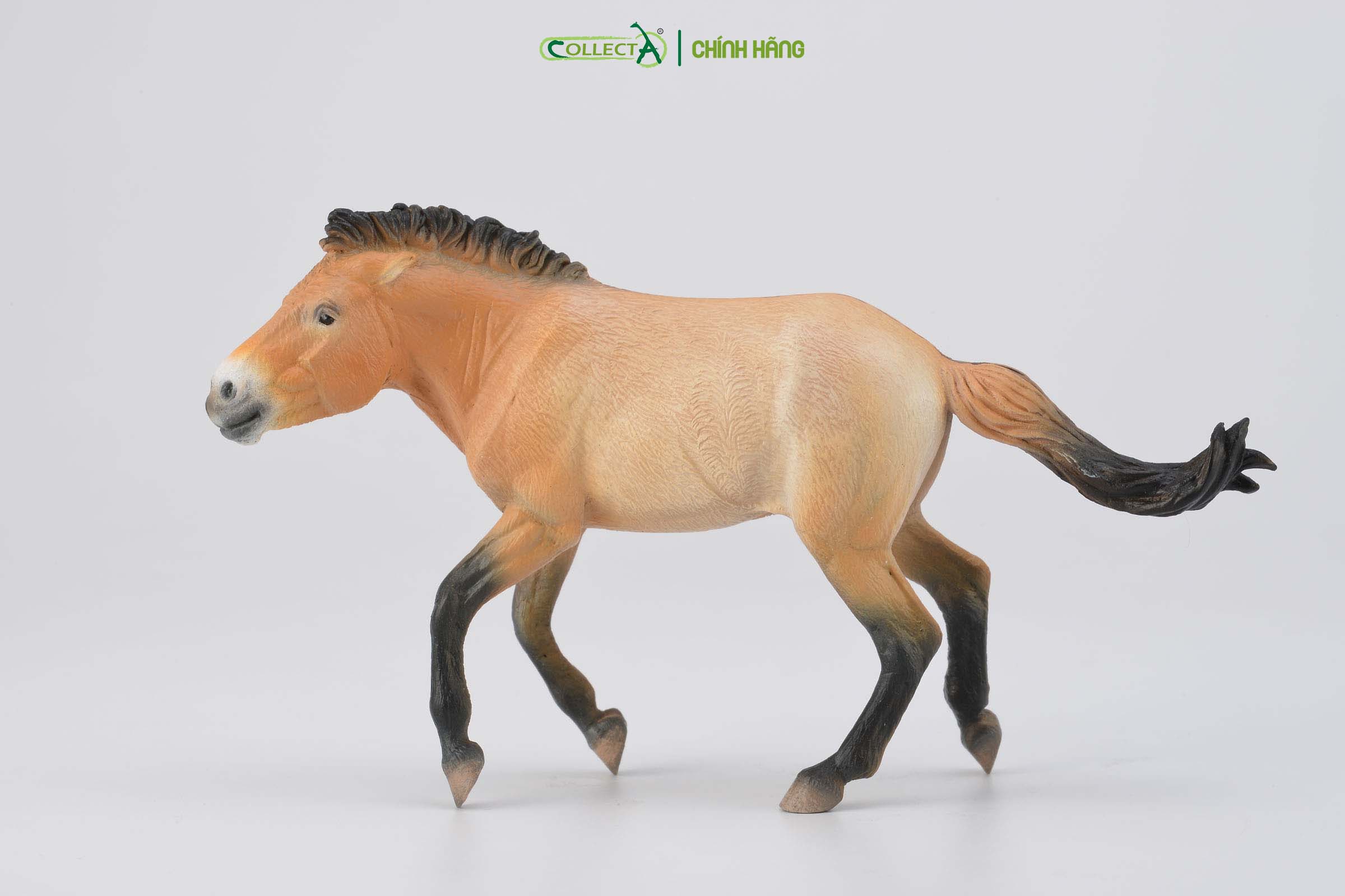 Mô hình thu nhỏ: Ngựa Hoang Mông Cổ - Przewalski Stallion, hiệu: CollectA, mã HS 9651260[88602] -  Chất liệu an toàn cho trẻ - Hàng chính hãng
