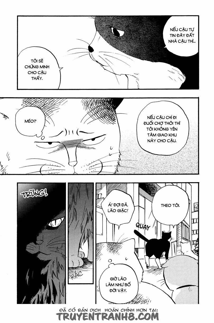 tui là busamen! chapter 4 4