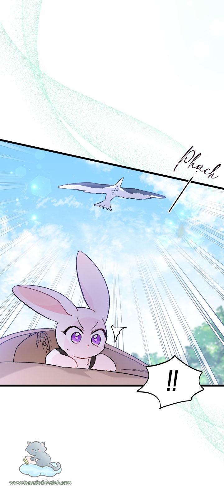 quan hệ cộng sinh giữa báo đen và thỏ trắng chapter 60 32