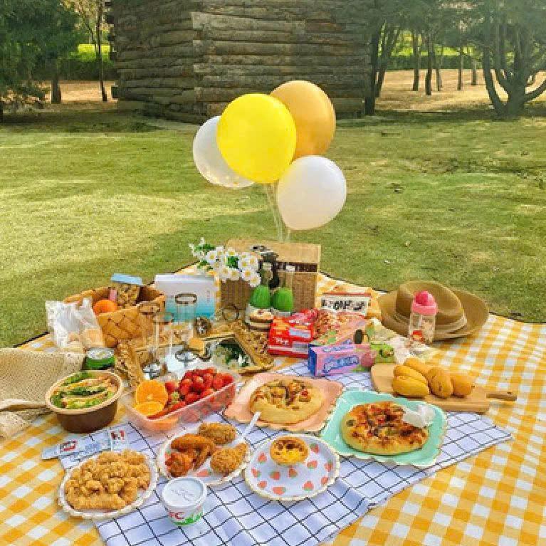 Combo 2 cái Thảm Dã Ngoại Picnic Hoạ Tiết Caro, Gấp Gọn Agnite - Thảm Cắm Trại, Đi Du Lịch, Đi Phượt, Chụp Ảnh