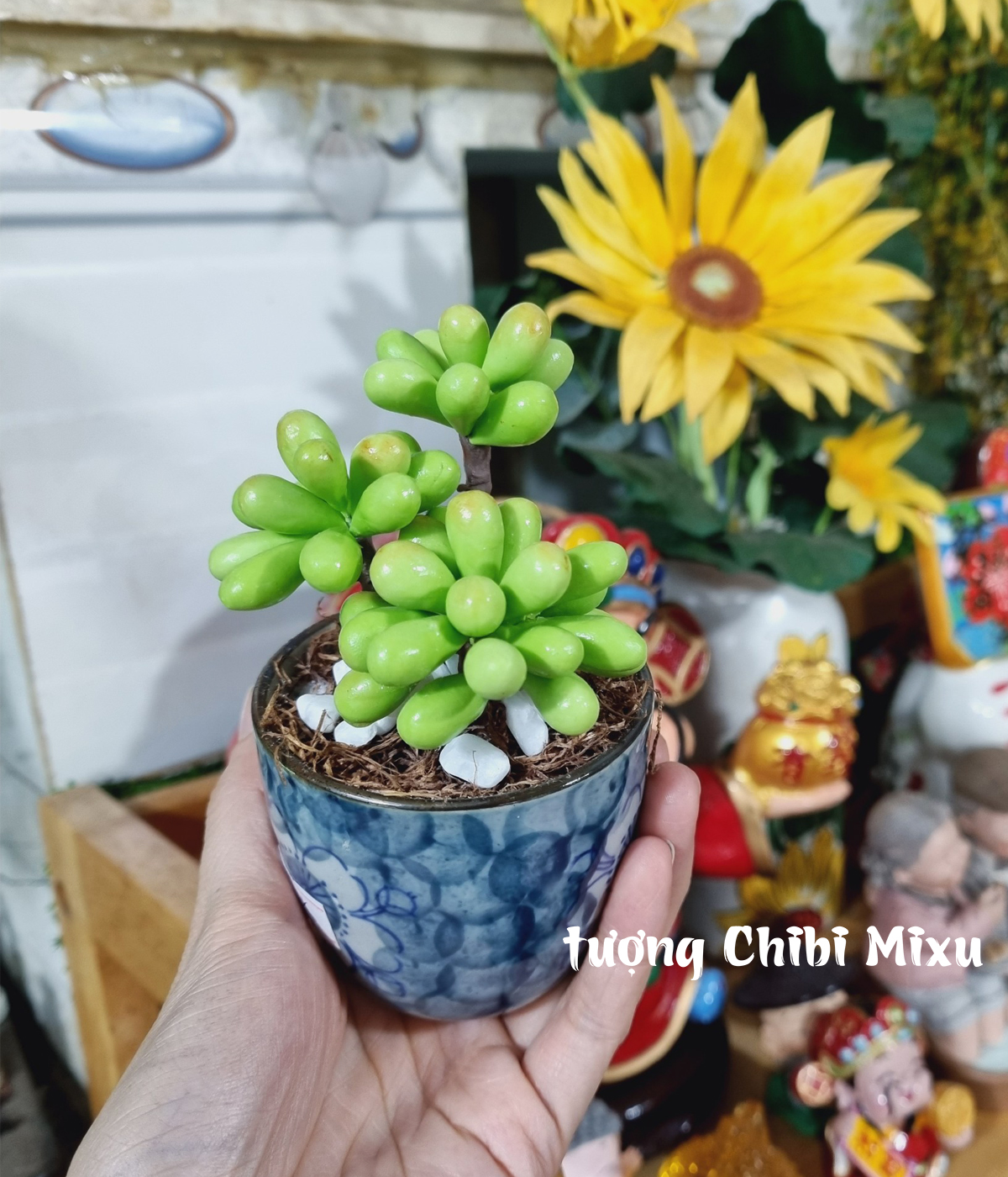 Chậu sen đá bằng đất sét Nhật - mẫu 02