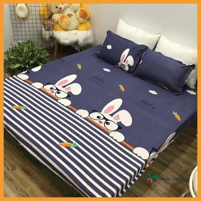 Chăn Hè Thu Trần Bông Poly Cotton mẫu Thỏ trắng
