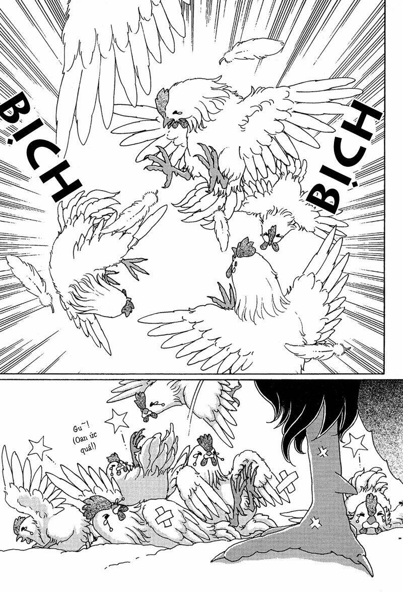 bird of youth chapter 7 4