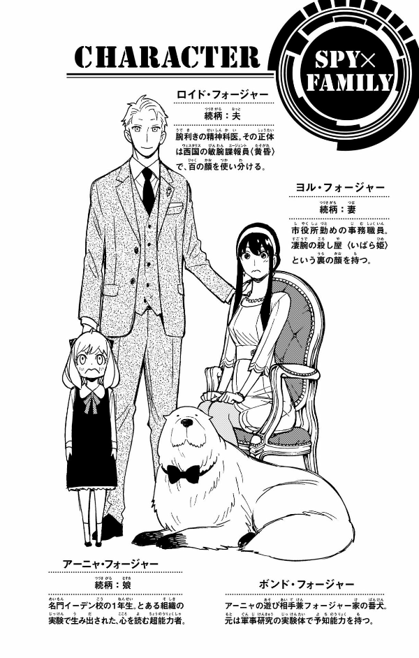 SPY x FAMILY 11