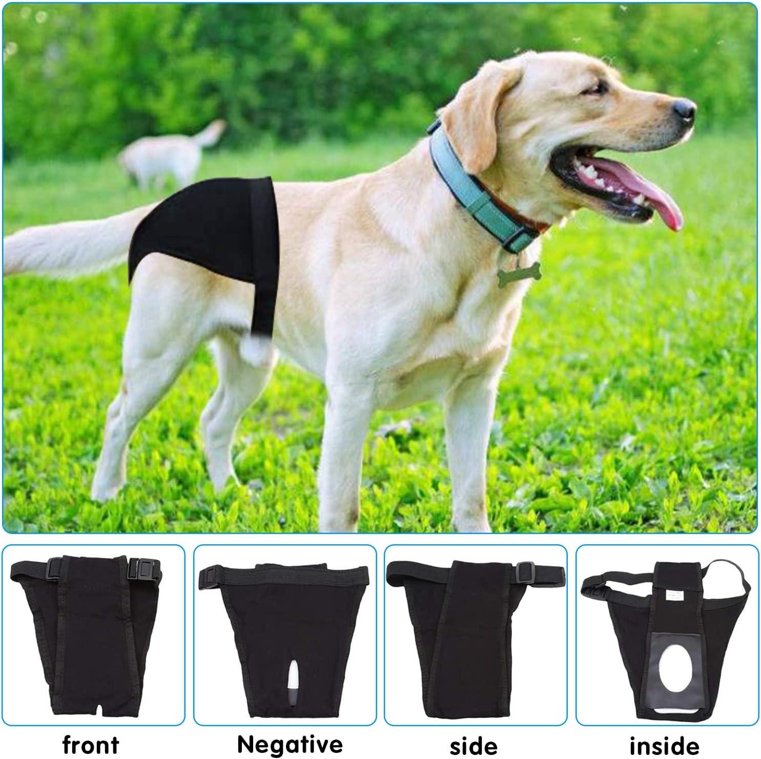 Tã Cho Chó, Thời Kỳ Sinh Lý Doggie Panties Tã Cho Chó